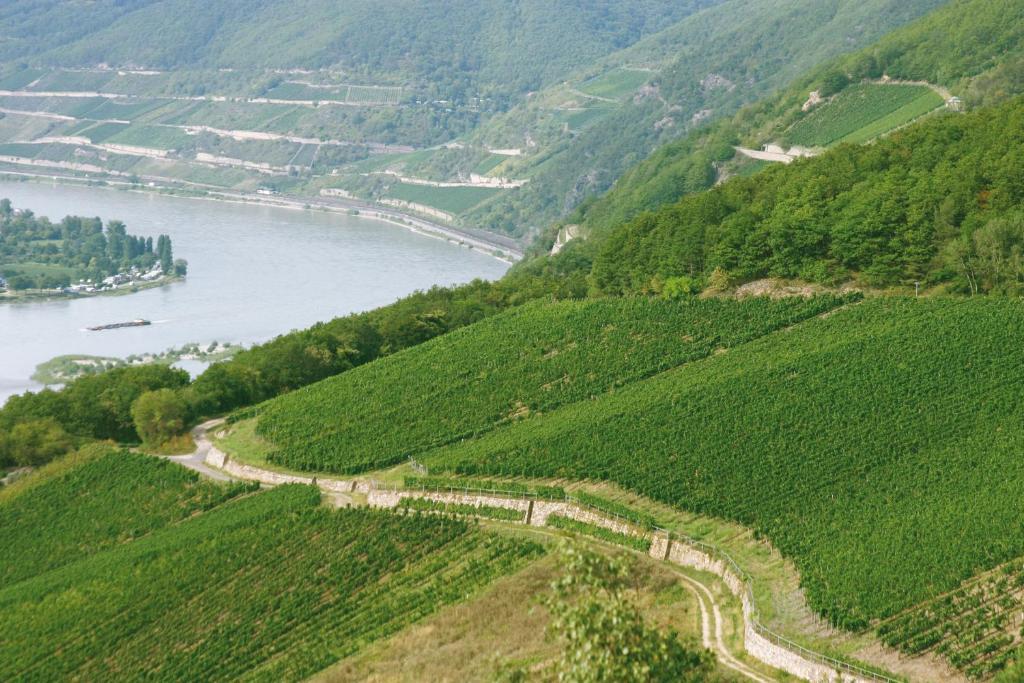 Hotel Kronenschloesschen Eltville am Rhein Εξωτερικό φωτογραφία